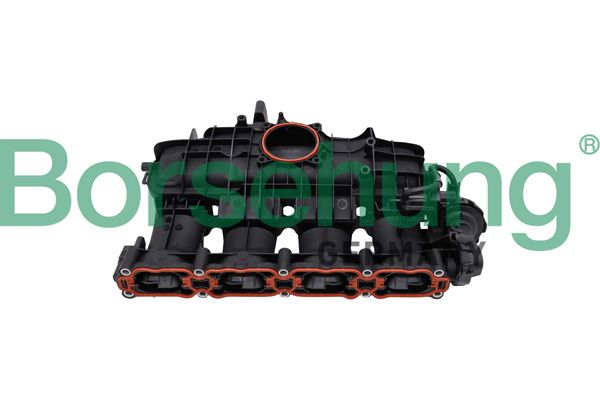 Borsehung B10665