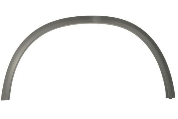 Elemente decorative/protectie, aripa BLIC 6601-02-3531421P