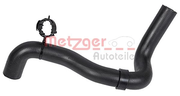 Furtun radiator METZGER 2420020