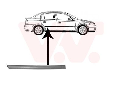 Elemente decorative/protectie, portiera VAN WEZEL 3742426