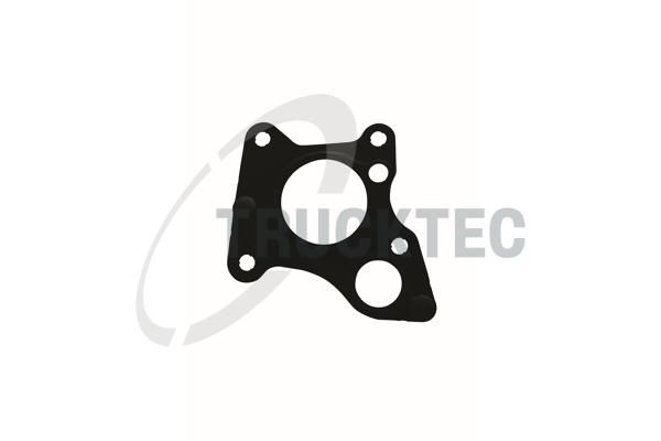 Blīve, Izplūdes gāzu recirkulācijas vārsts