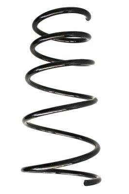 Arc spiral SPIDAN 55229