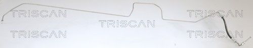 Furtun frana TRISCAN 8150 25236