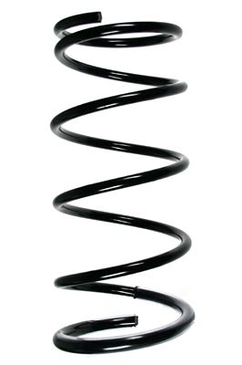 Arc spiral SPIDAN 85243