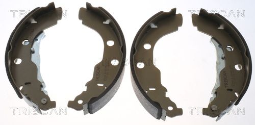 Zestaw szczęk hamulcowych TRISCAN 8100 28582