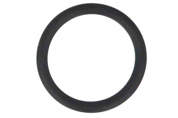 Set de reparație, pompă hidraulică (sistem de direcție) PNEUMATICS HTTP-AG-041