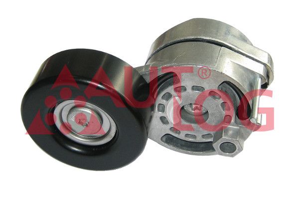 Napinacz, pasek klinowy wielorowkowy AUTLOG RT1862