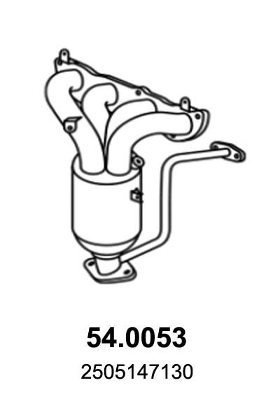Catalizator ASSO 54.0053