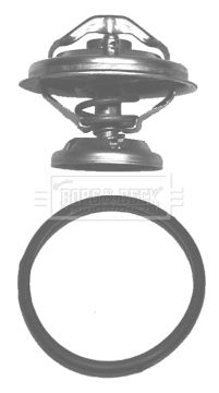 Termostat, środek chłodzący BORG & BECK BBT060