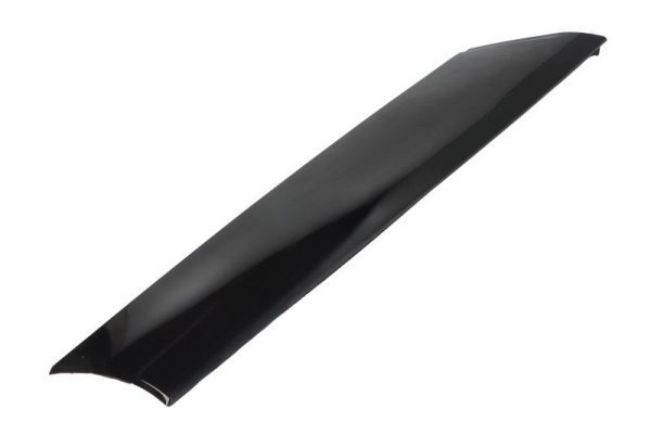 Elemente decorative/protectie, parbriz BLIC 5703-04-6037122Q