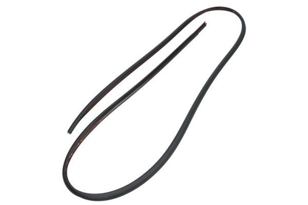 Elemente decorative/protectie, parbriz BLIC 5703-04-6037482Q