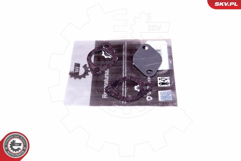 Set de reparație, supapă AGR ESEN SKV 14SKV550