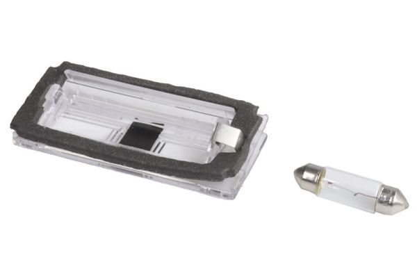 Iluminare numar de circulatie BLIC 5402-003-07-905