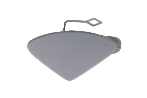 acoperire tampon,sistem de remorcare BLIC 5513-00-0063920Q