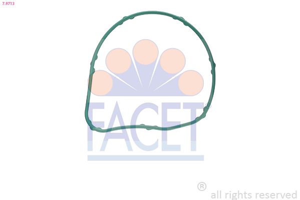 Uszczelka, termostat FACET 7.9713
