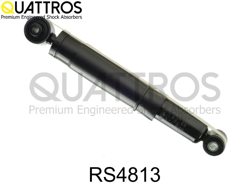 Amortyzator DAVID VASCO RS4813
