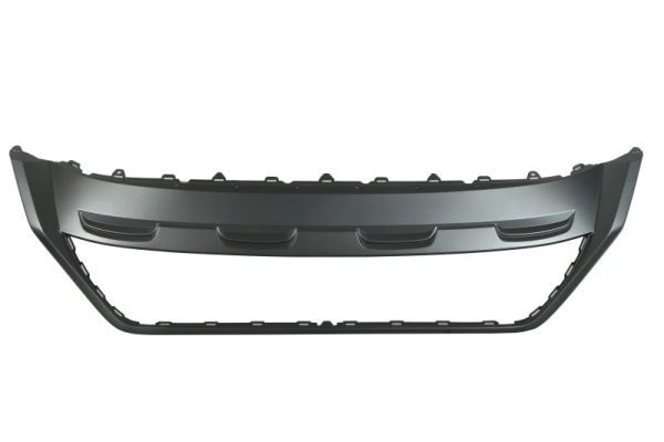 Ehis-/kaitseliist,Põrkeraud