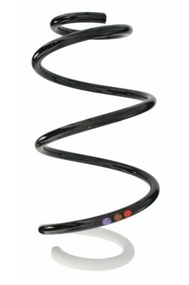 Arc spiral SPIDAN 87872