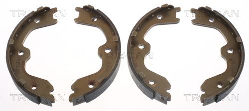 Set saboti frana TRISCAN 8100 14010