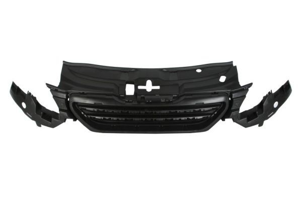 Grila radiator BLIC 6502-07-5516990P