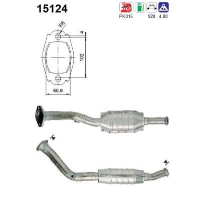 Katalizator AS 15124