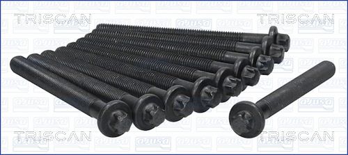 Zestaw śrub głowicy cylindrów TRISCAN 98-6014