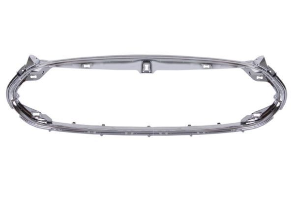 Banda de protectie, grila radiator BLIC 6502-07-7707991P