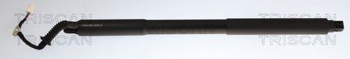 Sprężyna gazowa, pokrywa bagażnika TRISCAN 871024307
