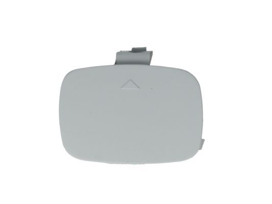 acoperire tampon,sistem de remorcare BLIC 5513-00-0076971P