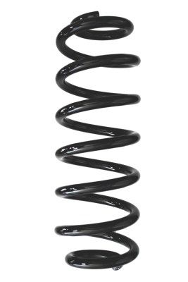 Arc spiral SPIDAN 87949