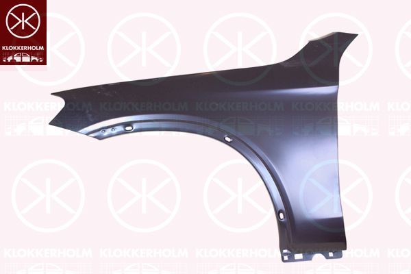 Błotnik KLOKKERHOLM 3567311