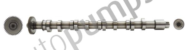 Ax cu came Autopumps UK AC2621