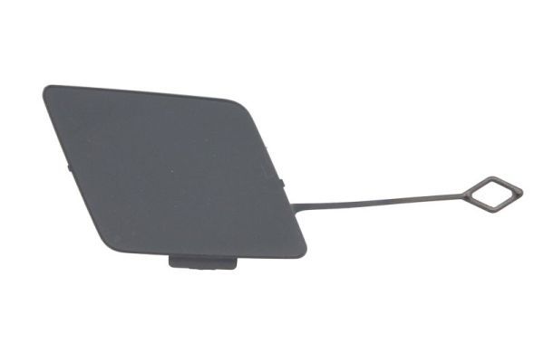 acoperire tampon,sistem de remorcare BLIC 5513-00-0067923P