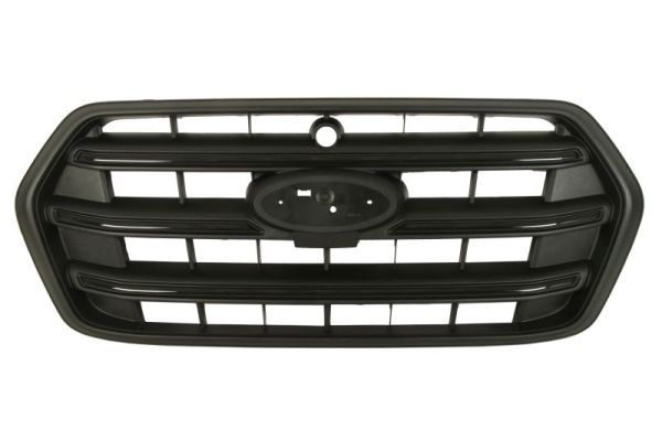 Grila radiator BLIC 6502-07-2517990PP