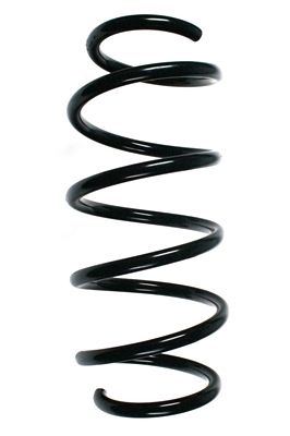 Arc spiral SPIDAN 85337