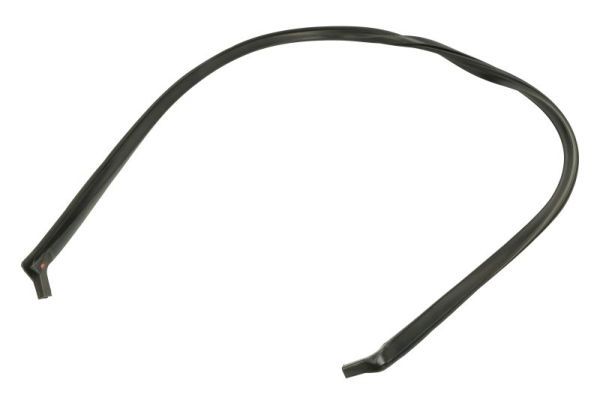 Elemente decorative/protectie, parbriz BLIC 5703-04-6037755Q