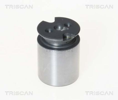 Tłoczek, zacisk hamulca TRISCAN 8170 233860