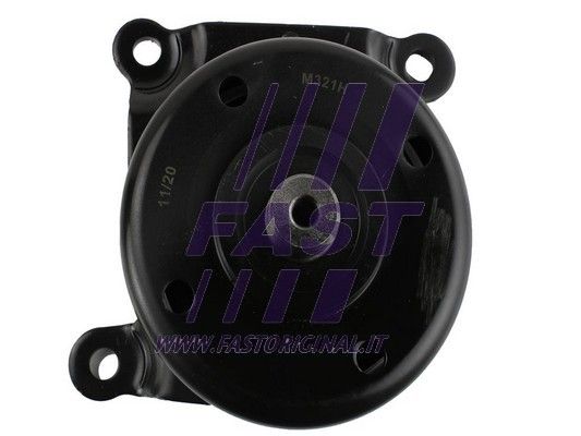 Rolka napinacza, pasek klinowy wielorowkowy FAST FT44665