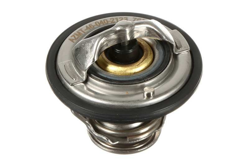 V37-99-0005 THERMOSTAT D EAU