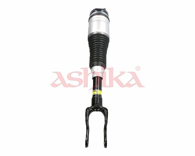 ASHIKA MAAS102