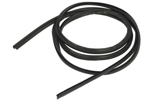 Elemente decorative/protectie, parbriz BLIC 5703-04-6037875Q
