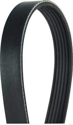Pasek klinowy wielorowkowy HERTH+BUSS JAKOPARTS J1060975