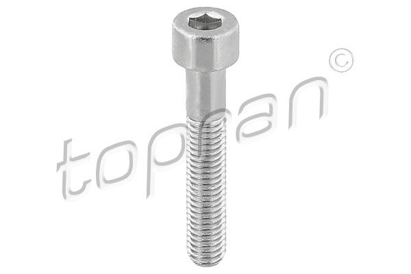 Surub, etrier TOPRAN 110 708