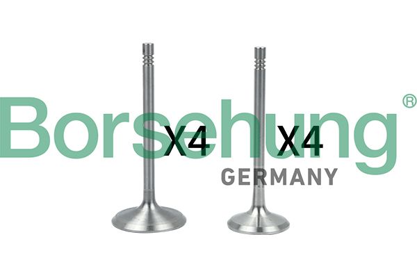 Set supape, supapă admisie/evacuare BORSEHUNG B18146