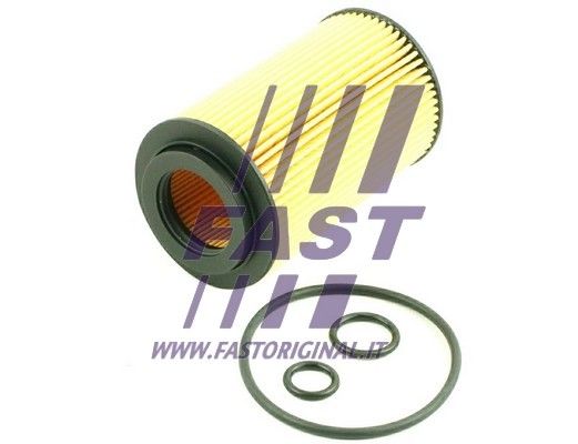 Filtr oleju FAST FT38013