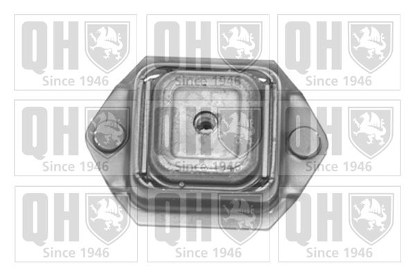 Łożyskowanie, korpus osi QUINTON HAZELL EMS8323