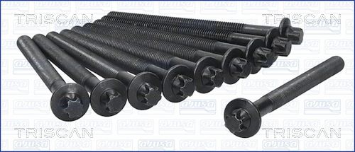 Zestaw śrub głowicy cylindrów TRISCAN 98-6013