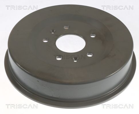 Bęben hamulcowy TRISCAN 8120 17208C