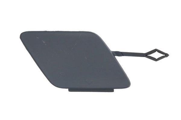 acoperire tampon,sistem de remorcare BLIC 5513-00-0068921P