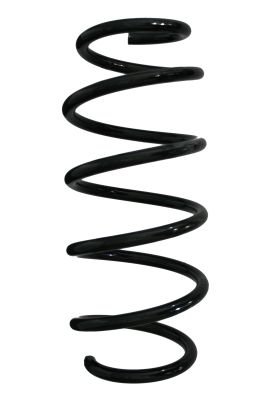 Arc spiral SPIDAN 88178